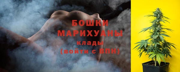 дживик Арсеньев