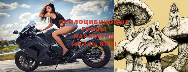 дживик Арсеньев