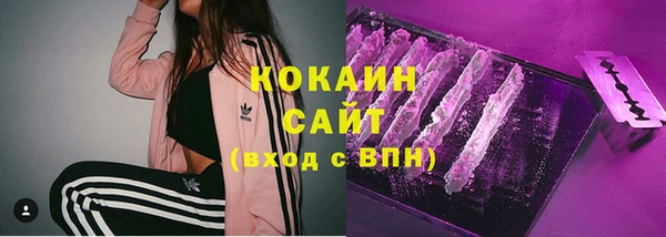 дживик Арсеньев