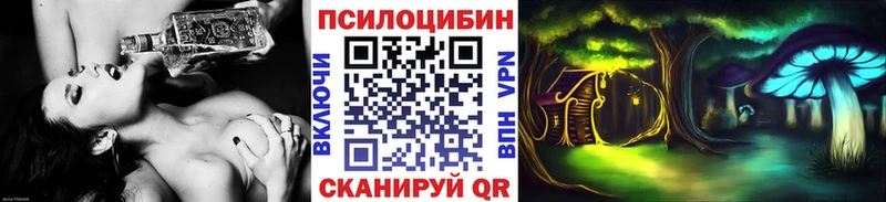 Галлюциногенные грибы Psilocybe  Кирово-Чепецк 